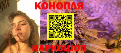 крисы Бузулук