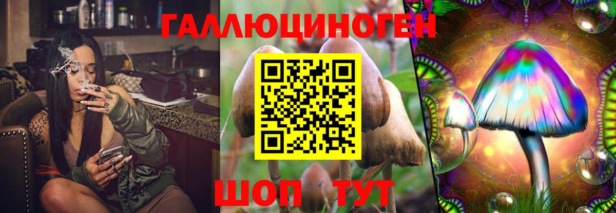 Туапсе  Галлюциногенные грибы мицелий  Галлюциногенные грибы Cubensis  Вход с VPN 