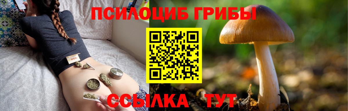 Галлюциногенные грибы прущие грибы Туапсе